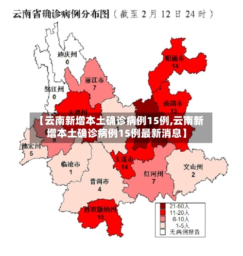 【云南新增本土确诊病例15例,云南新增本土确诊病例15例最新消息】