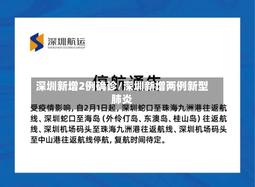 深圳新增2例确诊/深圳新增两例新型肺炎