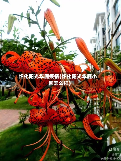 怀化阳光华庭疫情(怀化阳光华庭小区怎么样)-第3张图片