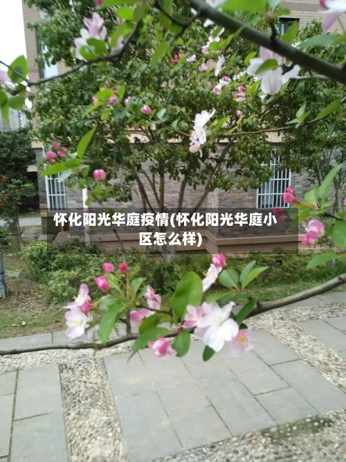 怀化阳光华庭疫情(怀化阳光华庭小区怎么样)