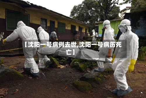 【沈阳一号病例去世,沈阳一号病历死亡】-第2张图片