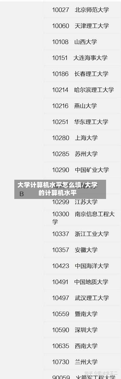 大学计算机水平怎么填/大学的计算机水平-第3张图片