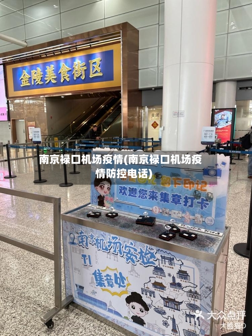 南京禄口机场疫情(南京禄口机场疫情防控电话)-第3张图片