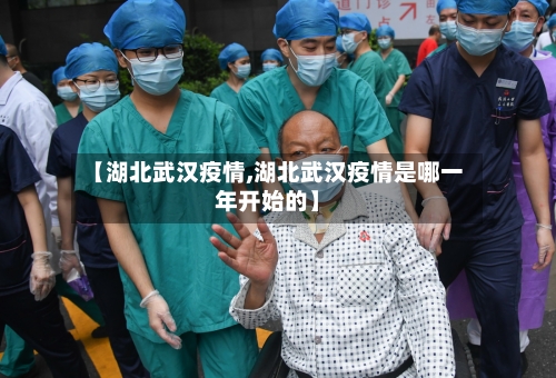 【湖北武汉疫情,湖北武汉疫情是哪一年开始的】-第3张图片