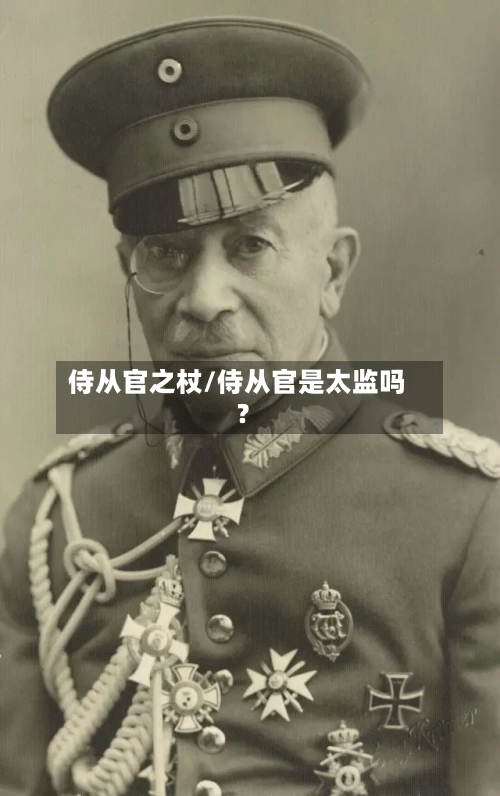 侍从官之杖/侍从官是太监吗?