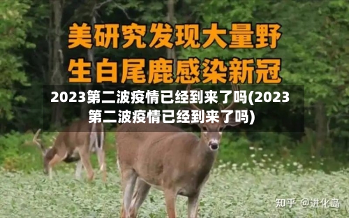2023第二波疫情已经到来了吗(2023第二波疫情已经到来了吗)-第3张图片