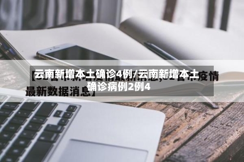 云南新增本土确诊4例/云南新增本土确诊病例2例4