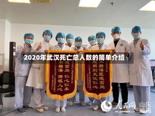 2020年武汉死亡总人数的简单介绍