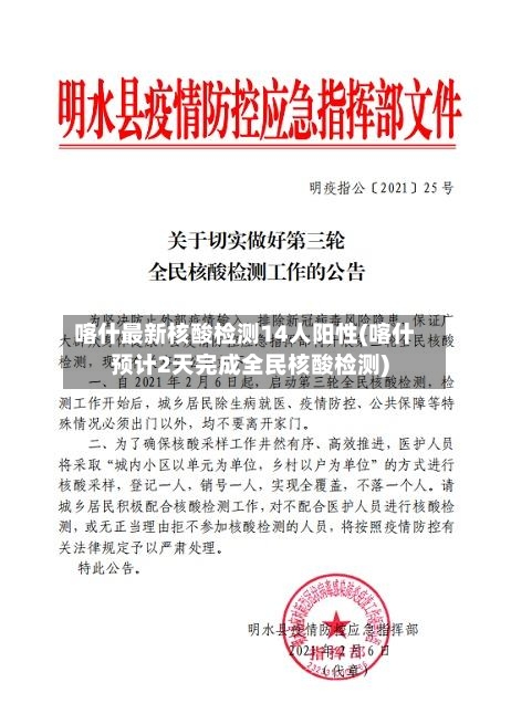 喀什最新核酸检测14人阳性(喀什预计2天完成全民核酸检测)-第3张图片