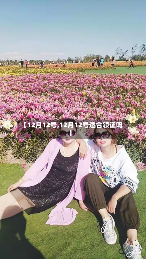 【12月12号,12月12号适合领证吗】