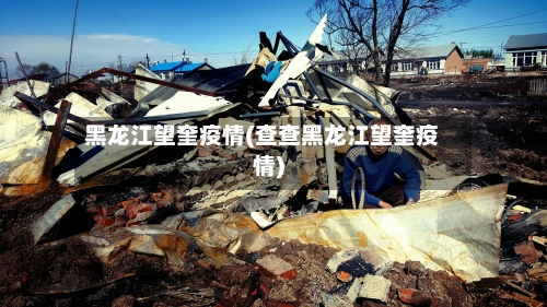 黑龙江望奎疫情(查查黑龙江望奎疫情)