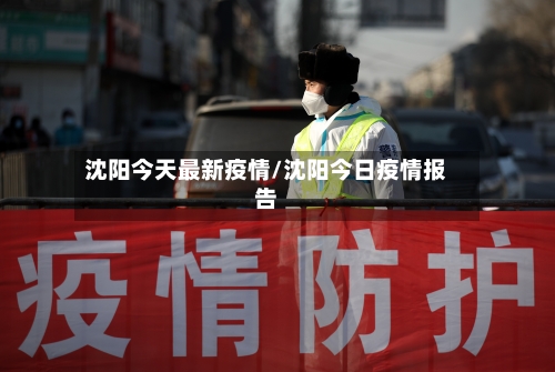 沈阳今天最新疫情/沈阳今日疫情报告-第2张图片