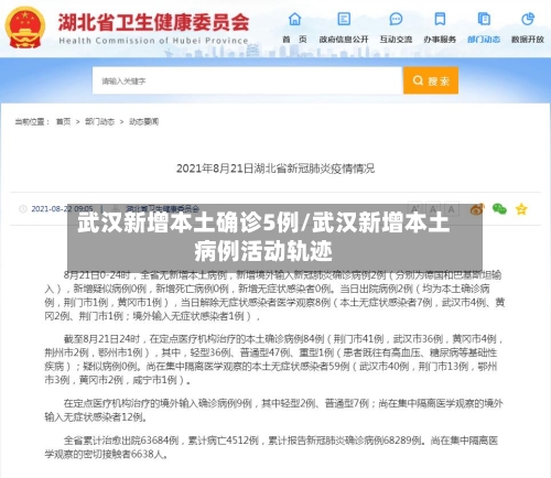 武汉新增本土确诊5例/武汉新增本土病例活动轨迹-第2张图片