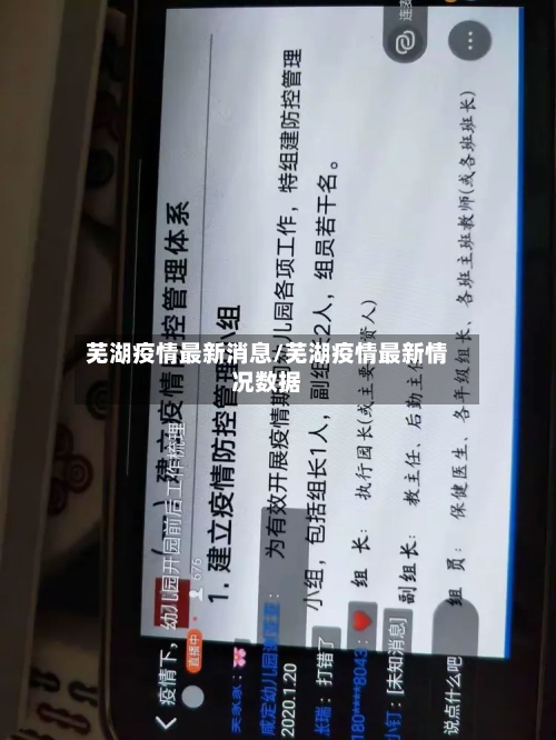 芜湖疫情最新消息/芜湖疫情最新情况数据-第2张图片