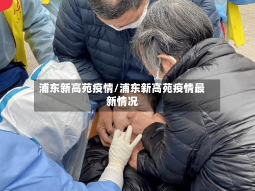 浦东新高苑疫情/浦东新高苑疫情最新情况
