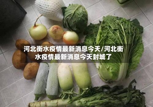 河北衡水疫情最新消息今天/河北衡水疫情最新消息今天封城了