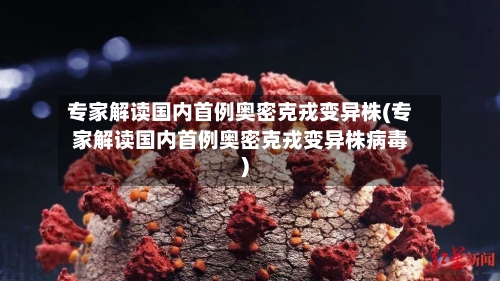 专家解读国内首例奥密克戎变异株(专家解读国内首例奥密克戎变异株病毒)-第2张图片