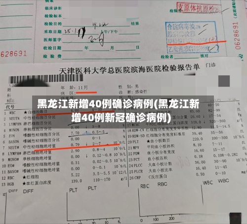 黑龙江新增40例确诊病例(黑龙江新增40例新冠确诊病例)-第3张图片