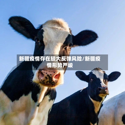 新疆疫情存在较大反弹风险/新疆疫情形势严峻