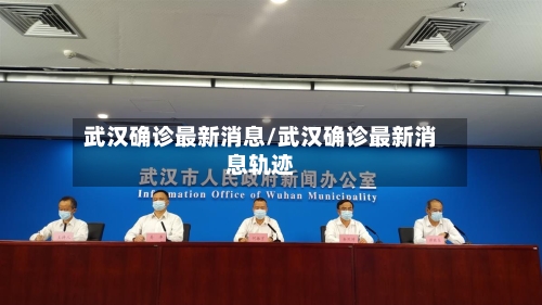武汉确诊最新消息/武汉确诊最新消息轨迹-第2张图片