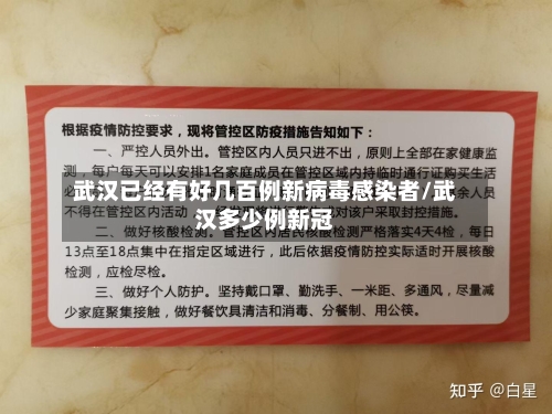 武汉已经有好几百例新病毒感染者/武汉多少例新冠
