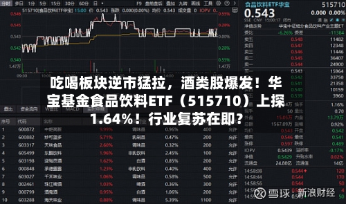 吃喝板块逆市猛拉	，酒类股爆发！华宝基金食品饮料ETF（515710）上探1.64%！行业复苏在即？-第3张图片