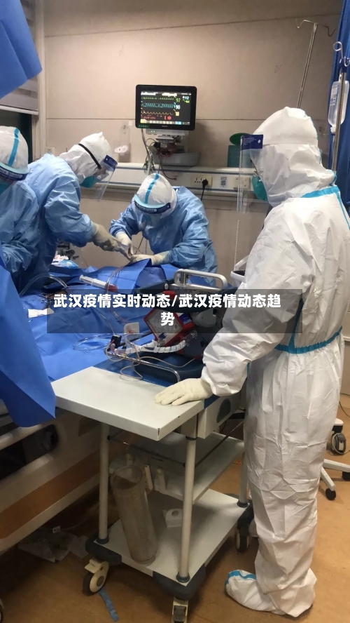 武汉疫情实时动态/武汉疫情动态趋势-第3张图片