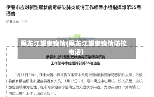 黑龙江望奎疫情(黑龙江望奎疫情防控电话)
