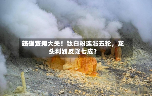 硫磺费用站上万元大关！钛白粉连涨五轮，龙头利润反降七成？-第2张图片
