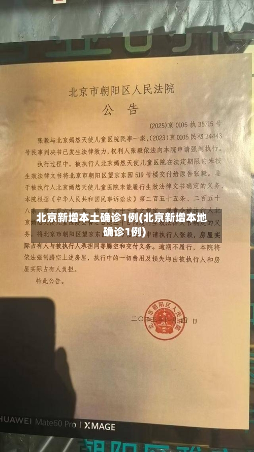 北京新增本土确诊1例(北京新增本地确诊1例)-第2张图片