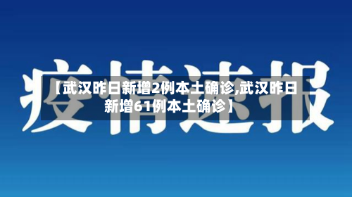 【武汉昨日新增2例本土确诊,武汉昨日新增61例本土确诊】-第2张图片