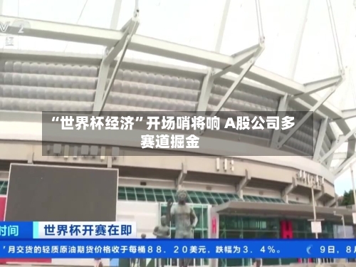 “世界杯经济”开场哨将响 A股公司多赛道掘金-第2张图片