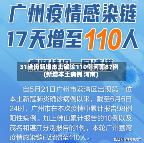 31省份新增本土确诊110例河南87例(新增本土病例 河南)-第3张图片