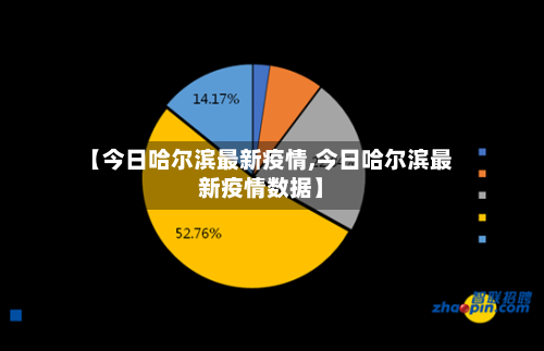 【今日哈尔滨最新疫情,今日哈尔滨最新疫情数据】-第3张图片