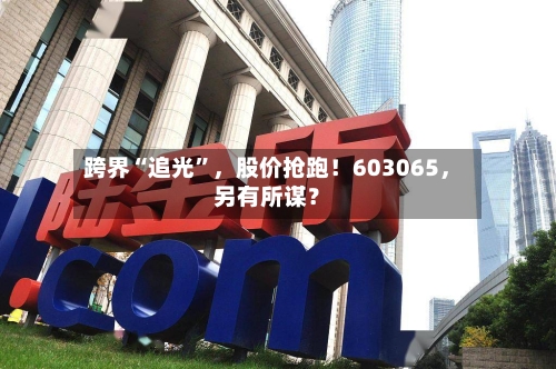 跨界“追光”	，股价抢跑！603065，另有所谋？-第2张图片