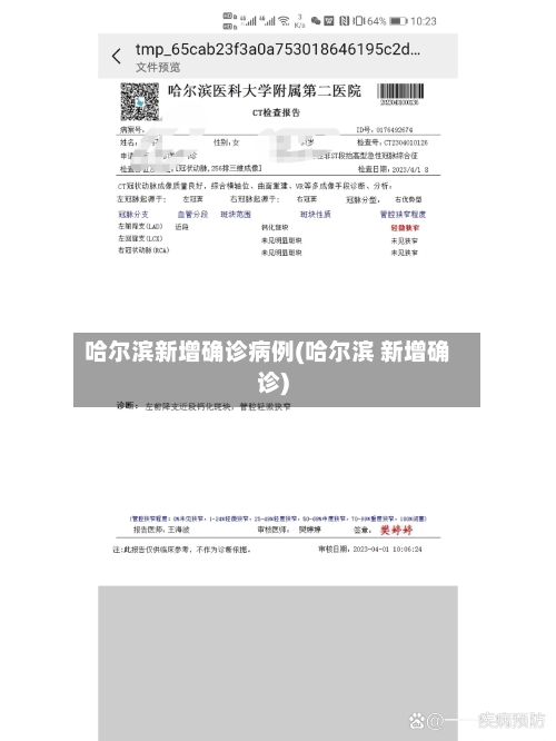 哈尔滨新增确诊病例(哈尔滨 新增确诊)
