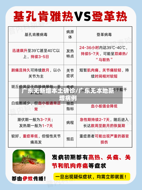 广东无新增本土确诊/广东无本地新增病例