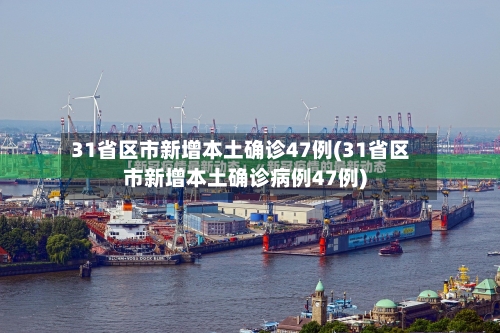 31省区市新增本土确诊47例(31省区市新增本土确诊病例47例)-第3张图片