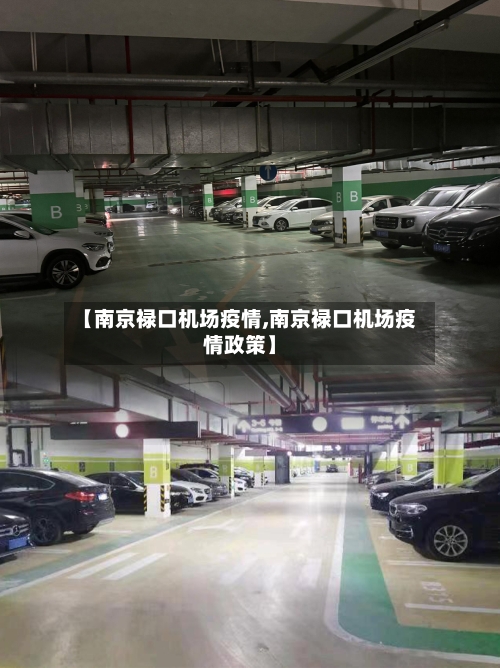 【南京禄口机场疫情,南京禄口机场疫情政策】-第2张图片