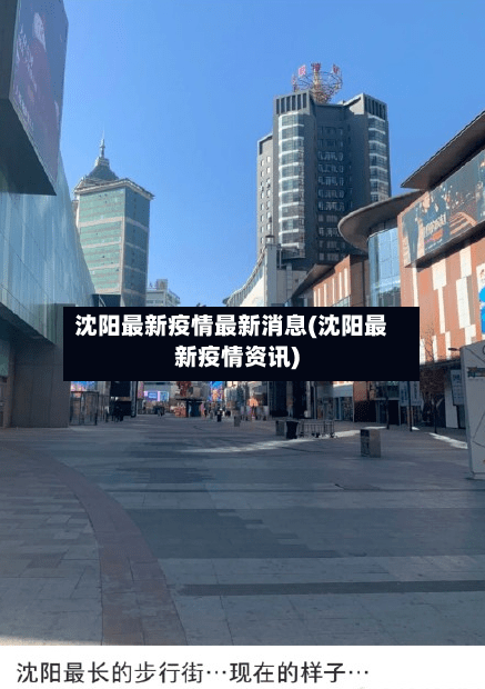 沈阳最新疫情最新消息(沈阳最新疫情资讯)-第2张图片