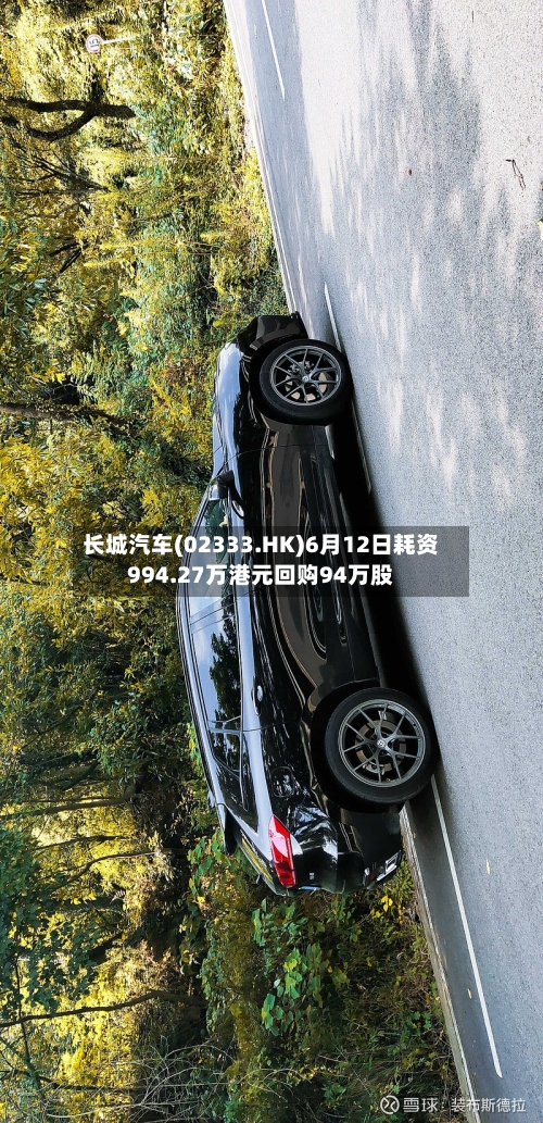 长城汽车(02333.HK)6月12日耗资994.27万港元回购94万股