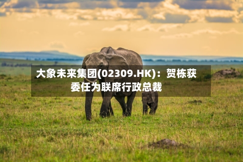 大象未来集团(02309.HK):贺栋获委任为联席行政总裁