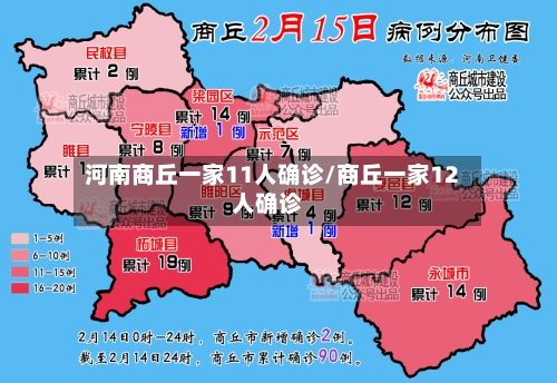 河南商丘一家11人确诊/商丘一家12人确诊-第2张图片