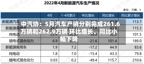 中汽协：5月汽车产销分别完成261.6万辆和262.9万辆 环比增长	、同比小幅下降-第2张图片