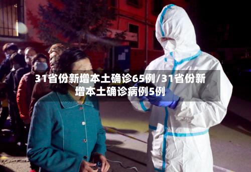 31省份新增本土确诊65例/31省份新增本土确诊病例5例-第3张图片
