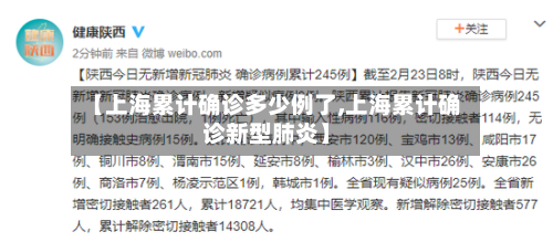【上海累计确诊多少例了,上海累计确诊新型肺炎】-第3张图片