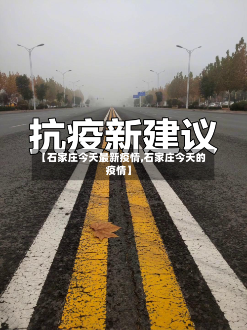 【石家庄今天最新疫情,石家庄今天的疫情】