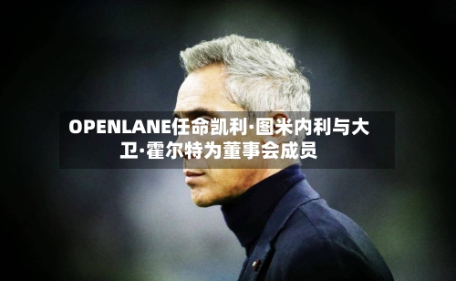 OPENLANE任命凯利·图米内利与大卫·霍尔特为董事会成员-第2张图片
