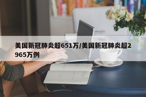 美国新冠肺炎超651万/美国新冠肺炎超2965万例