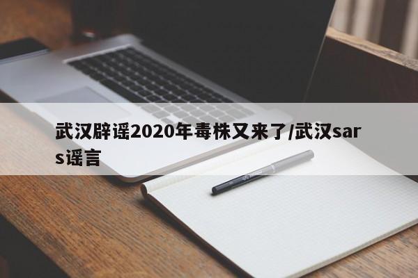 武汉辟谣2020年毒株又来了/武汉sars谣言